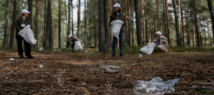 śmieci polskie lasy akcje